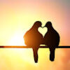lovescully